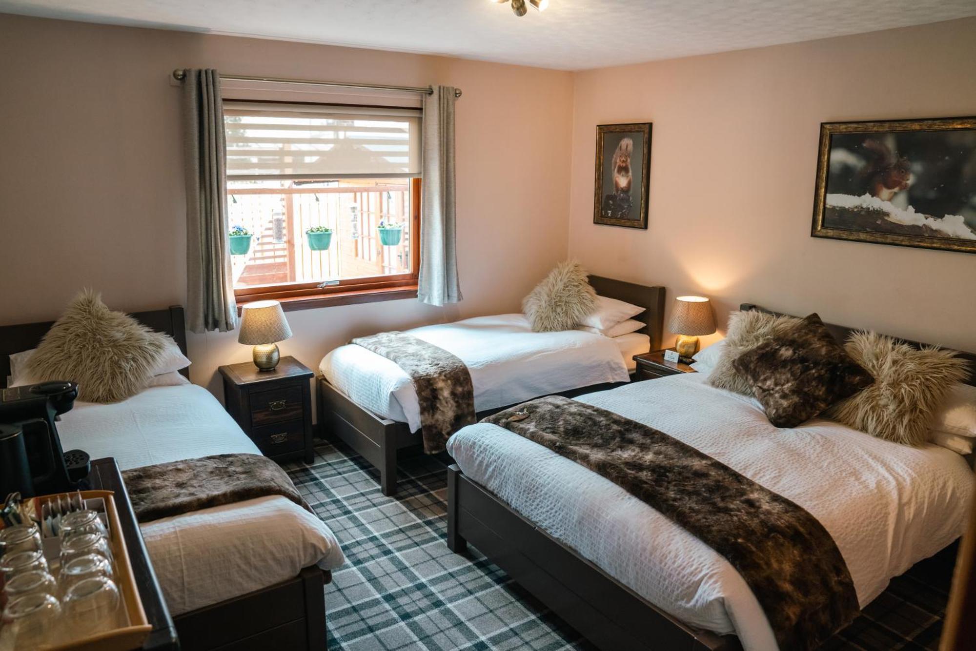 Eriskay B&B And Aviemore Glamping Zewnętrze zdjęcie